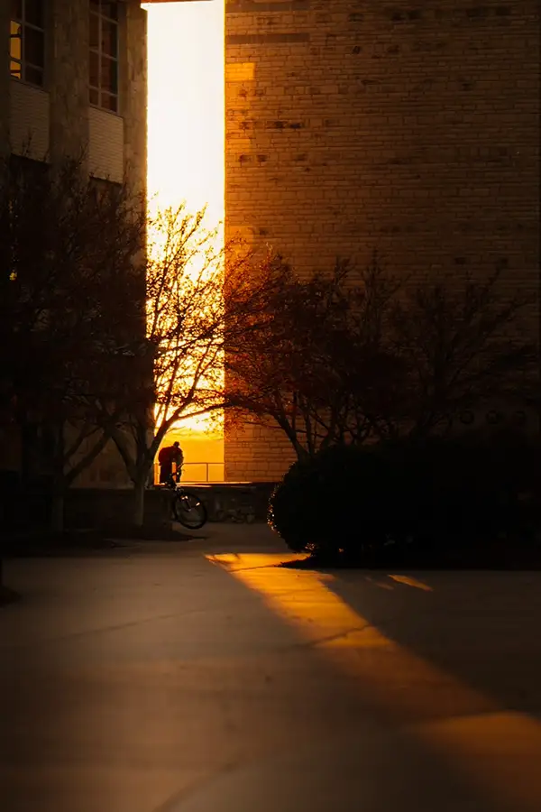 Sunset light pouring down a narrow street between buildings