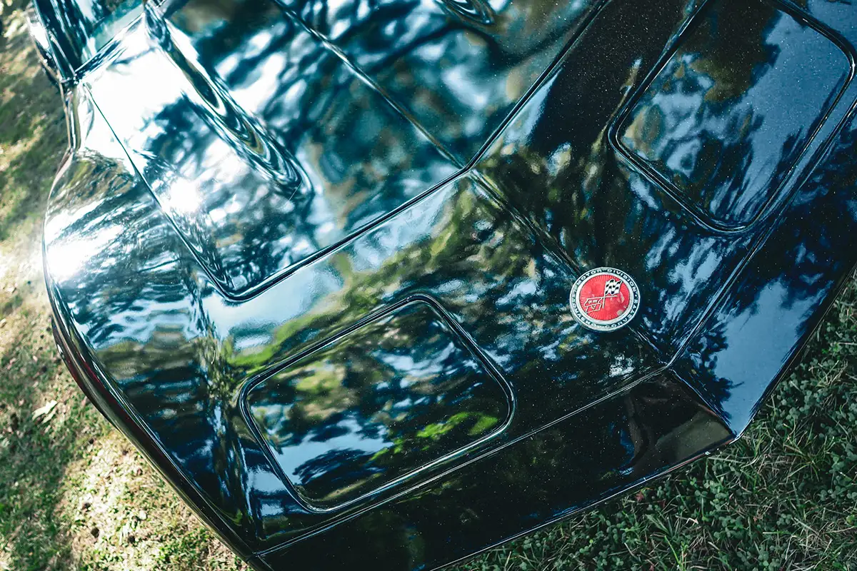 Glossy black car hood reflecting the trees