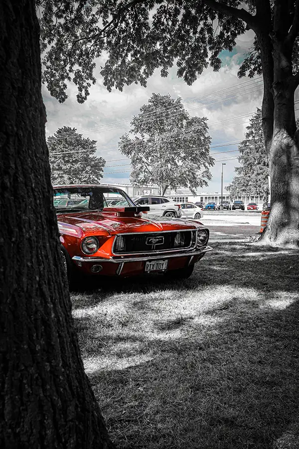 Red classic Mustang parked under a tree, the rest in black and white